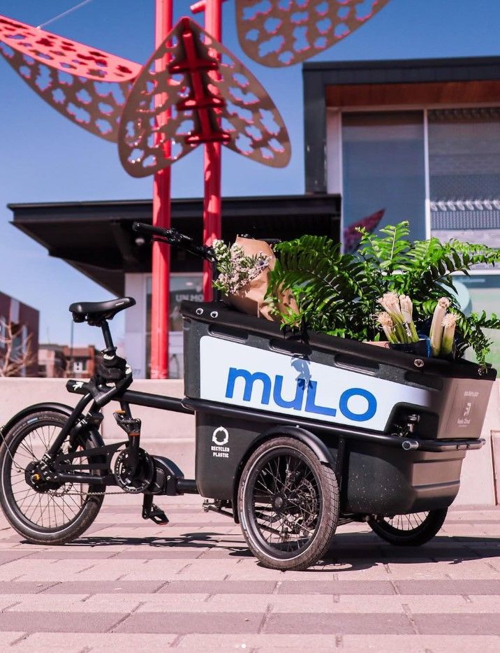 Un bakfiets de Mulo devant le Marché Jean-Talon. La caisse de chargement du bakfiets est remplie de sacs d'épicerie et de plantes. Photo : Mulo (Instagram).