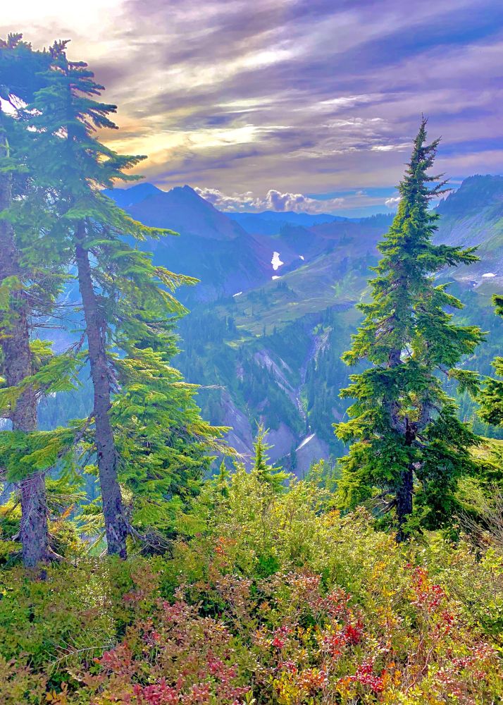 photo from a plant-covered mountaintop looking towards a neighboring mountain that looks purple in the sunset
