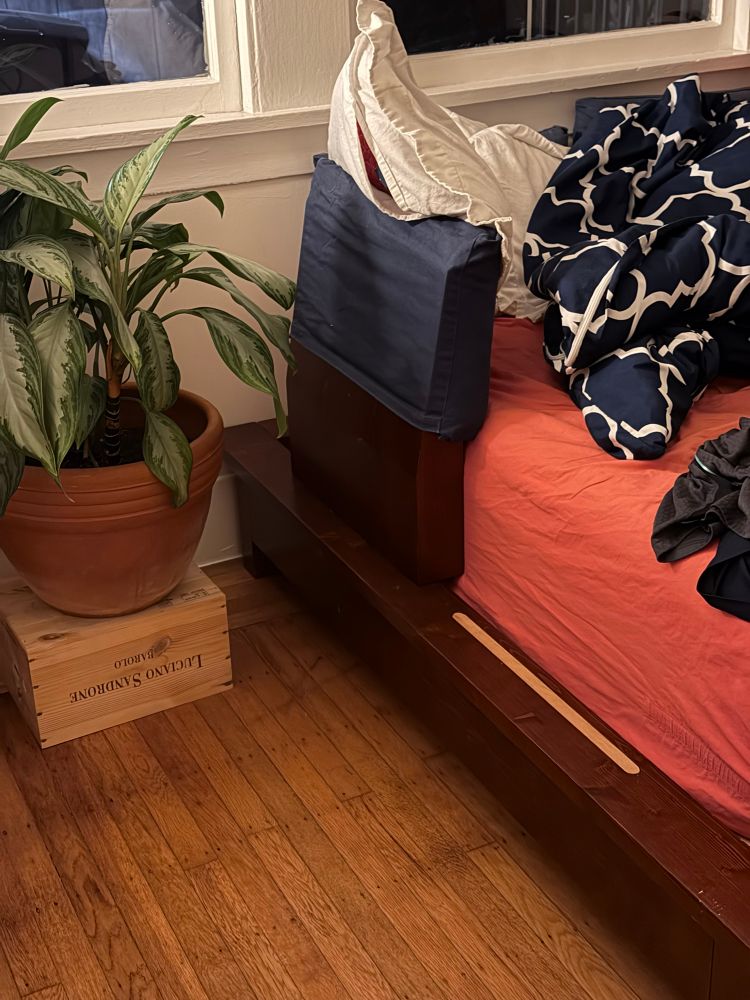 corner edge of bed. plant on the side. 