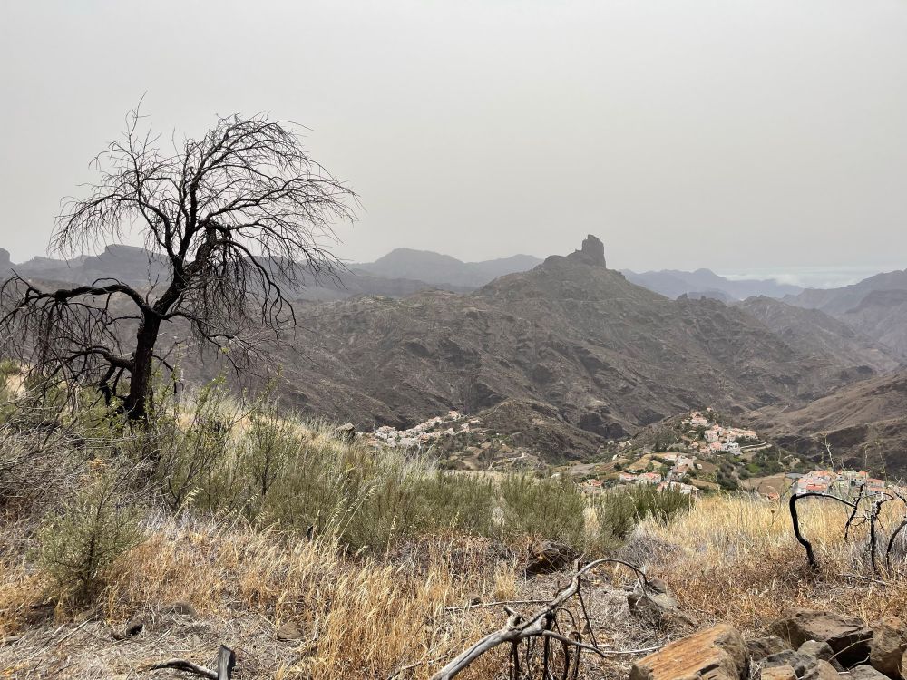 The dry interior landscape of Gran Canaria, mountains in distance, town in valley below, frazzled leafless trees and grass in foreground 