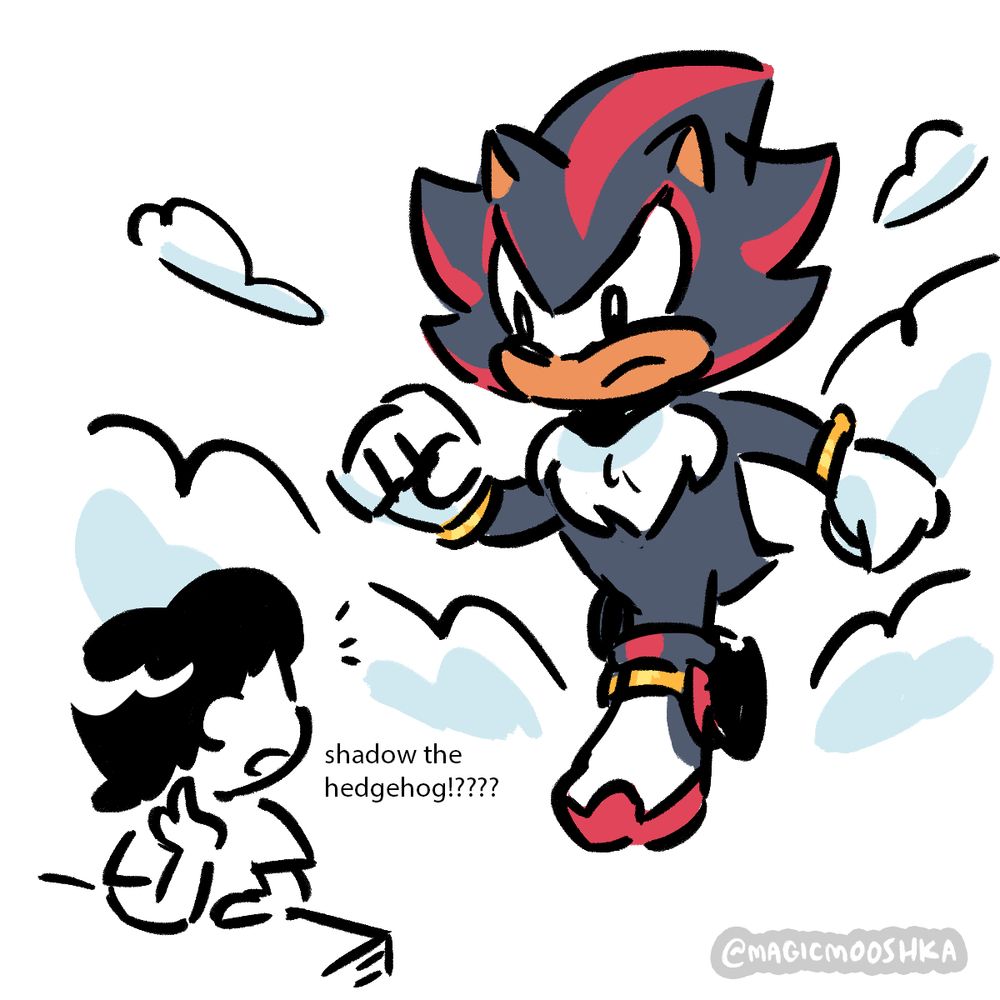 Feeb turns. Shadow the Hedgehog descends from the heavens like a righteous god, clouds surrounding him.
Feeb: [shadow the hedgehog!????]