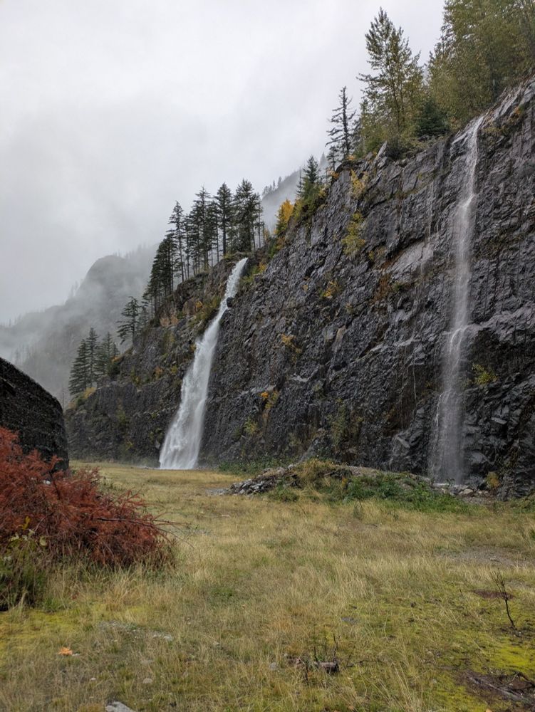 Two waterfalls slide down a slick grey rocky surface with large patches of moss and grass, yellow grass in the foreground. Pine trees and fog can be seen in the top.