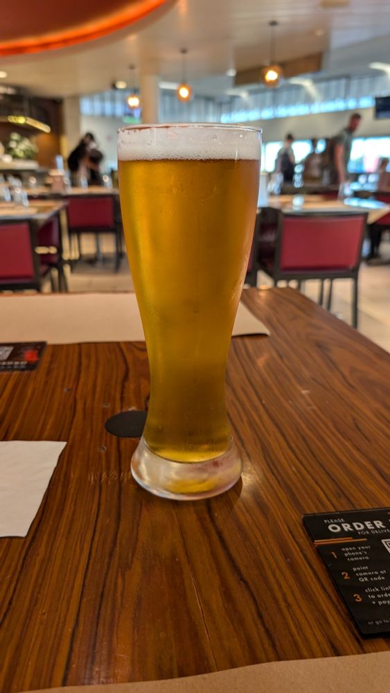 A delicious looking golden Cream Ale beer.