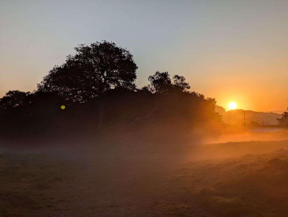 Misty sunrise