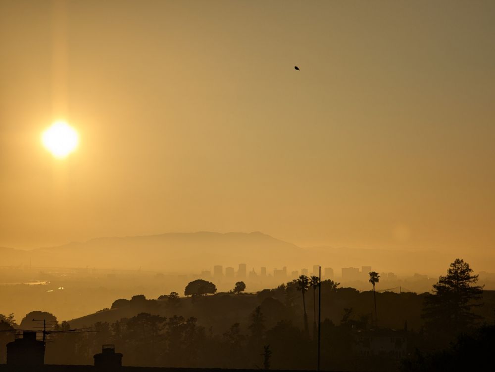 Sunset scene. On the foreground a hill in Knowland Park. On the background Oakland skyline.