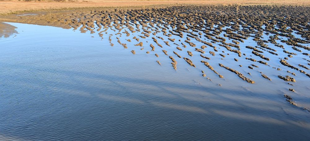 Tide rising and abbing as sculpted the mud in interesting patterns.