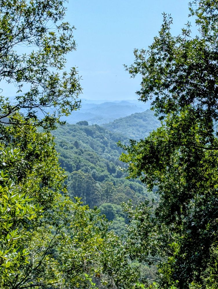 Green Hill ranges as seen through an opening between trees.