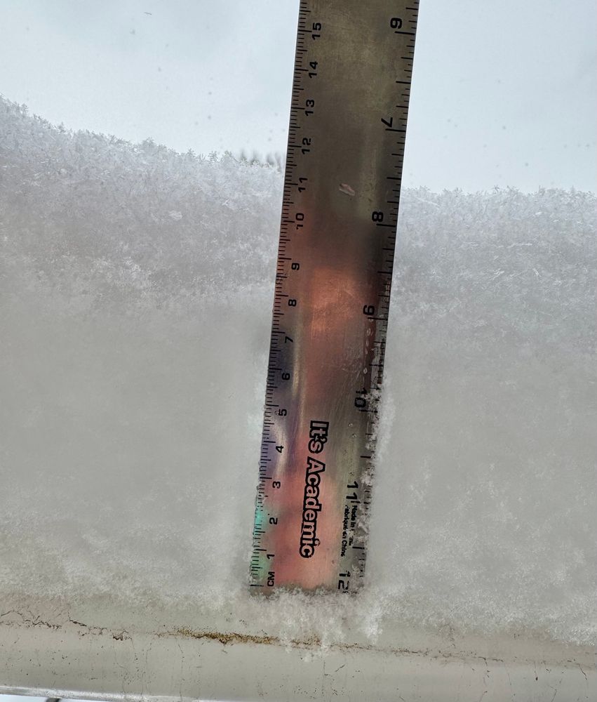 The same photo but using the metric side of my ruler, about 12 cm
