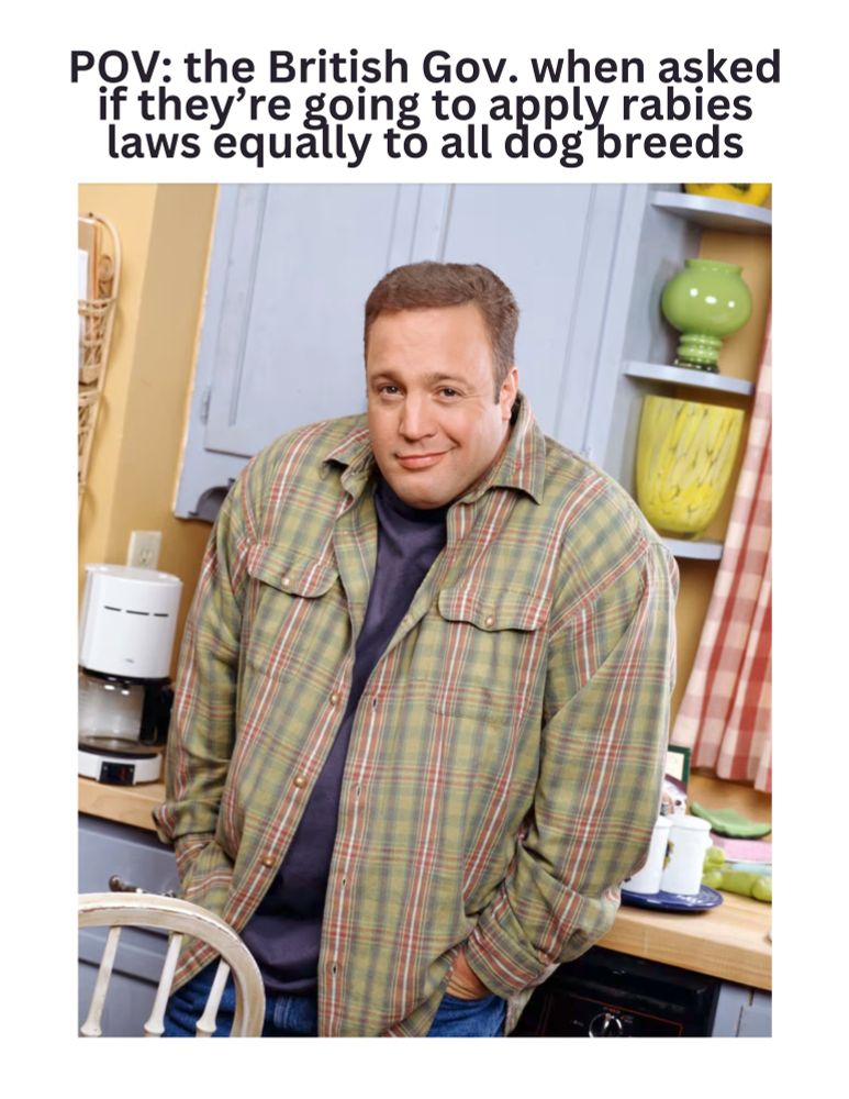 A meme of Kevin James shrugging sheepishly. The text above the photo states: "POV: the British Gov. when asked if they're going to apply rabies laws equally to all dog breeds."