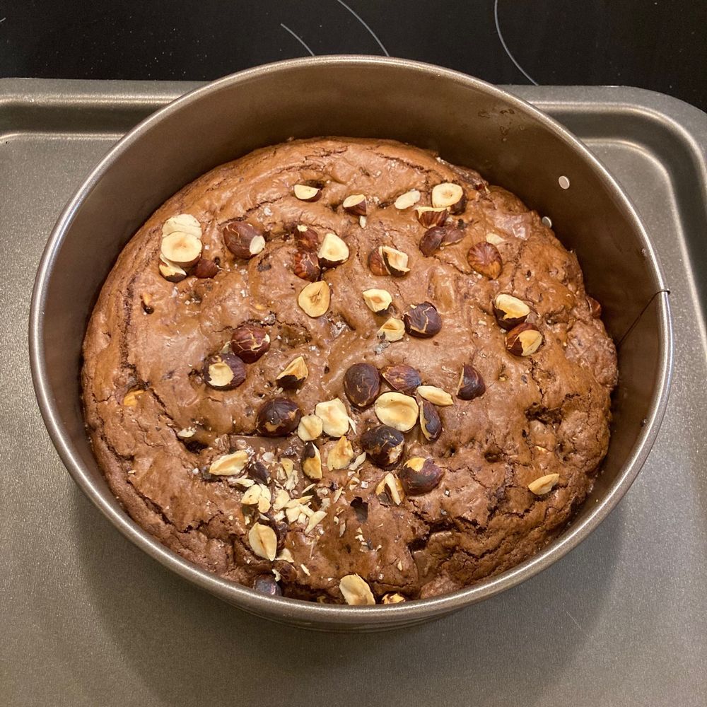 Gâteau rond couleur chocolat avec les noisettes hachées sur le dessus. Encore dans le moule en métal.