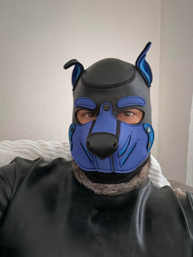 Guy in black latex suit with black and blue neoprene puppy mask.