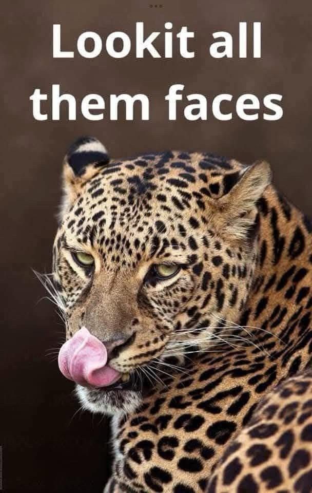 Comment image