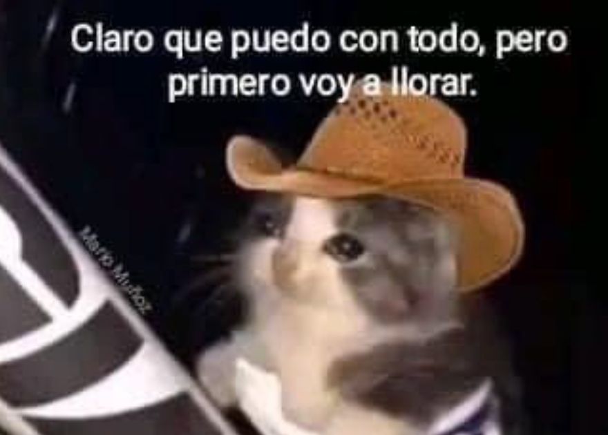 Gato con sombrero de vaquero y los ojos llorosos. En la parte de arriba de la imagen pone: "Claro que puedo con todo, pero primero voy a llorar."
