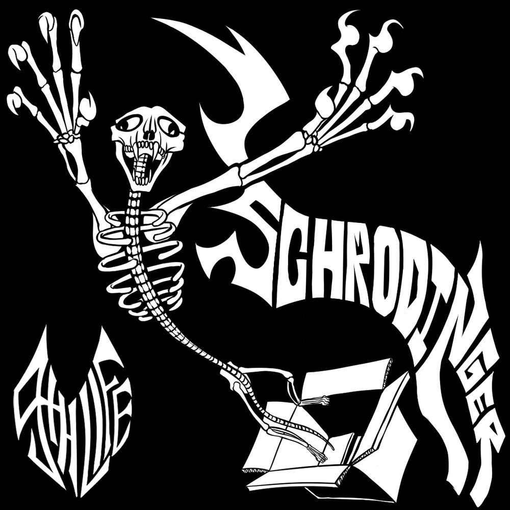 A black and white drawing of a skeleton cat jumping out of a cardboard box with claws out towards the viewer. The bands name is '9th Life' which is in the shape of a cats head and the album name is titled 'Schrodinger' which takes the silhouette of a cat.