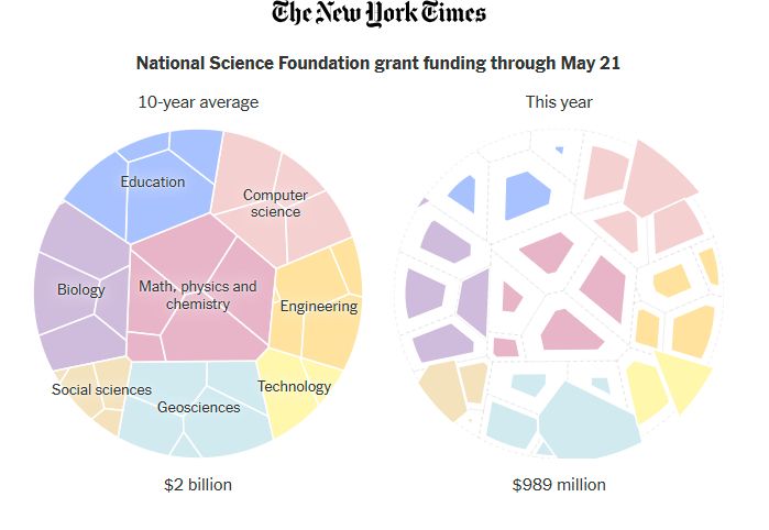 Chart showing Dramatic Decline in Scientific Grant funding at the US National Science Foundation since Trump became president compared to the 10 year average. Source:  New York Times, 22 May 2025 see https://www.nytimes.com/interactive/2025/05/22/upshot/nsf-grants-trump-cuts.html?unlocked_article_code=1.JE8.NeCM.yTf72LgEypkk&smid=nytcore-ios-share&referringSource=articleShare