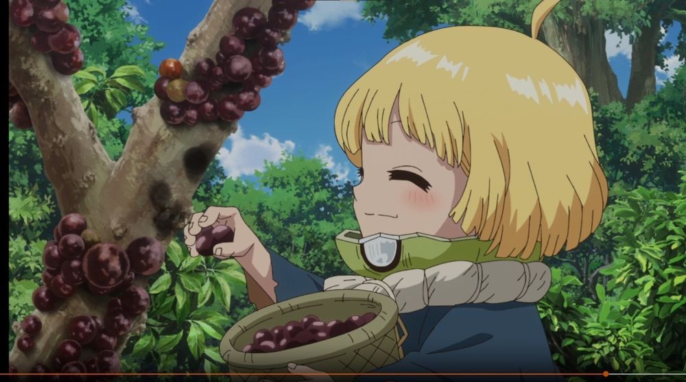 Suika harvesting jabuticabas