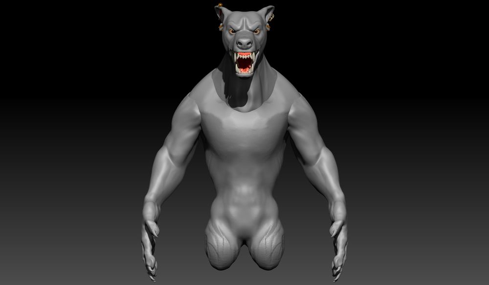 The beginnings of a body for the werewolf sculpt. Currently in a very generic pose. Done in Zbrush.