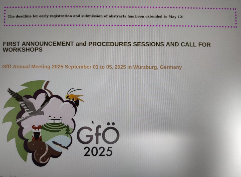 Screenshot of the website showing the extension announcement 