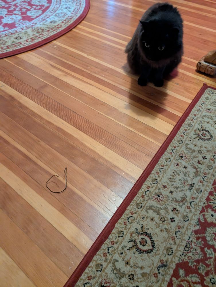 Dean and his twist tie