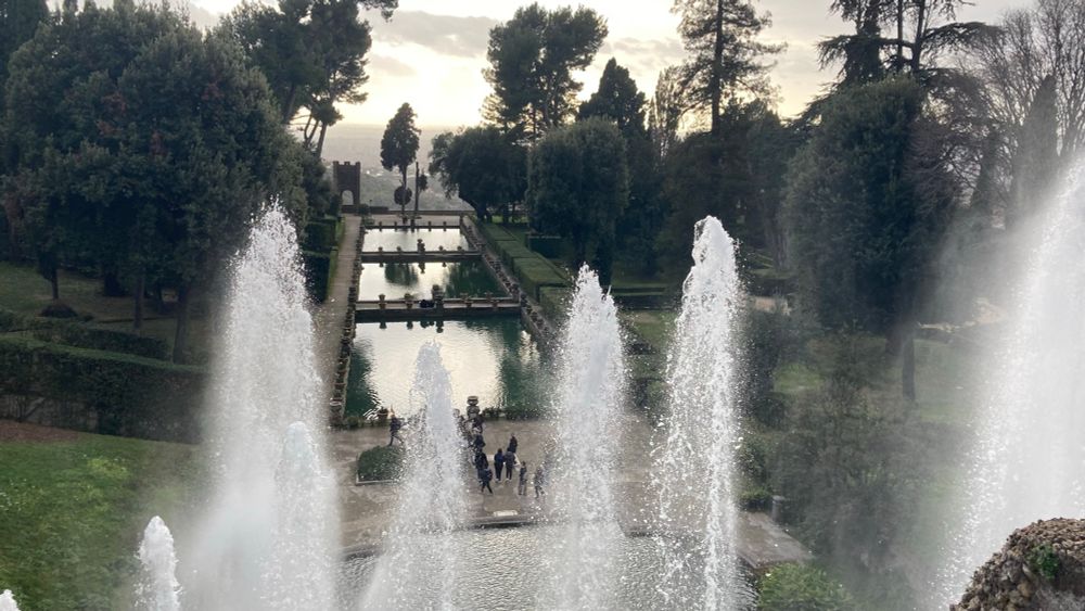 Fountain sprays of water against background of trees
