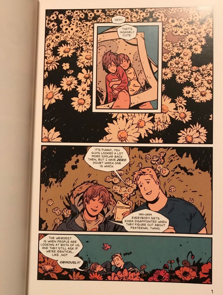 The first page of the book where two boys share a moment in a flower field. 