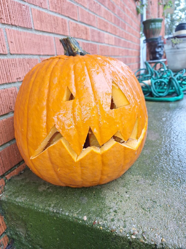 Jack-o'-lantern 