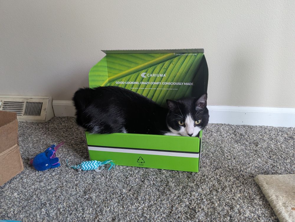 a tuxedo cat attempting to sit in a green shoebox but his entire back end is sticking out