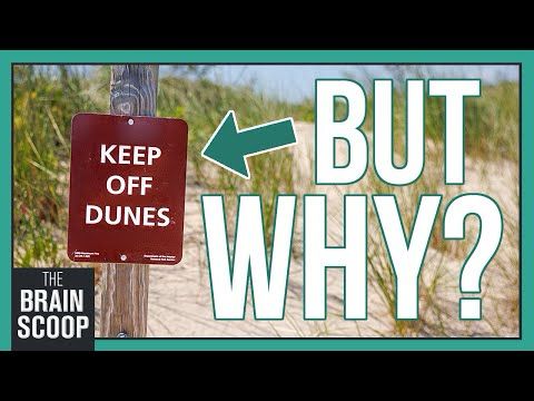 Why these beaches near Chicago almost disappeared