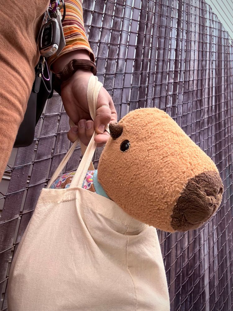 A girl is holding a tote bag in front of a wood fence, chloe the capybara is sticking her head out of the bag and looks happy to be outside.