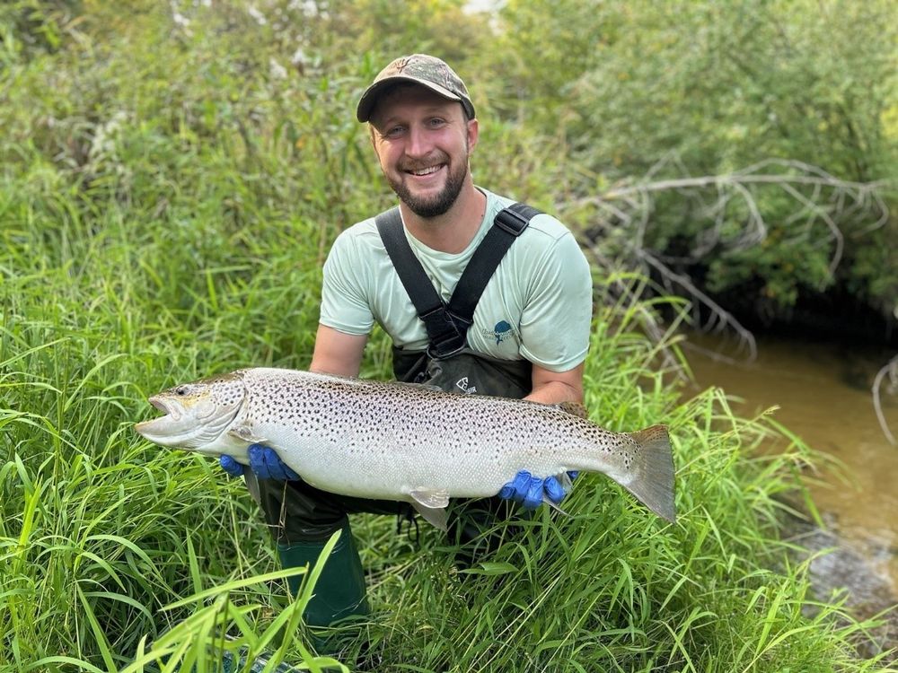 A GVSU-AWRI graduate student kneels on a grassy riverbank to display a large trout caught during his thesis fieldwork.