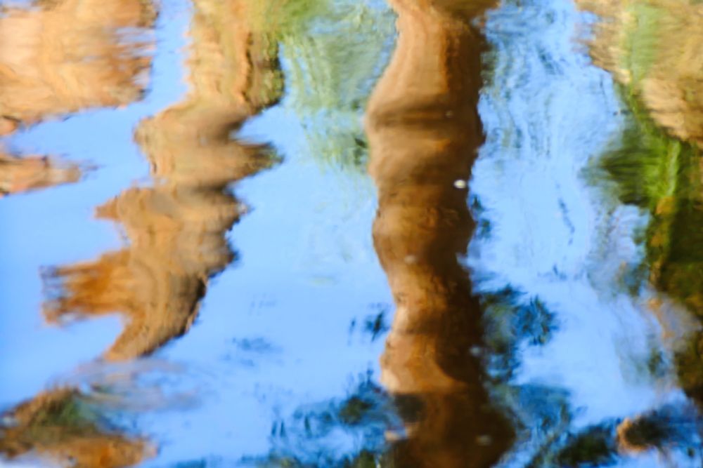 An abstract image of the distorted reflection of palm trees in a pond -- brown trunks, green foliage and blue sky.
