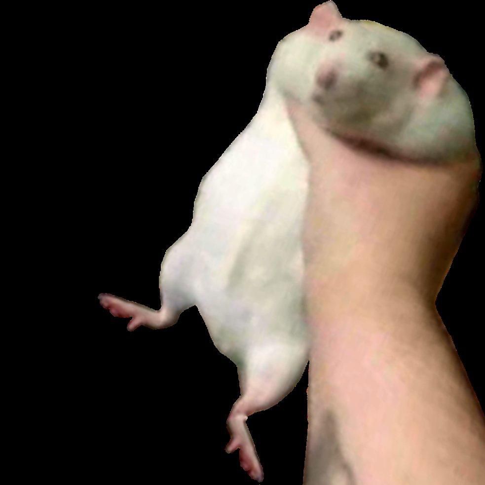 Comment image