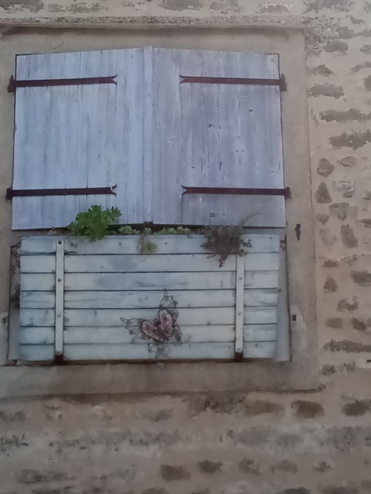 Gesloten blauwe luiken met daaronder een houten plantenbak aan de muur. Op de plantenbak is een vlinder geschilderd.