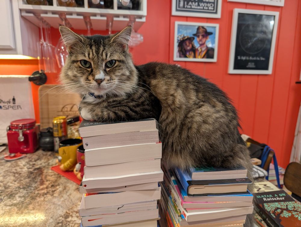 Our cat Nakia sitting on two stacks of books on the kitchen counter. The left stack is taller than the right, and Nakia's front is leaning on the left stack whuke her back is sitting on the right stack.