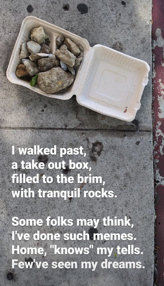 I walked past,
a take out box,
filled to the brim,
with tranquil rocks.

Some folks may think,
I've done such memes.
Home, "knows" my tells.
Few've seen my dreams.
