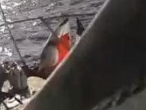 Tino Rangatiratanga flag on Huga, a boat in the Sumud flotilla carrying humanitarian aid to Gaza