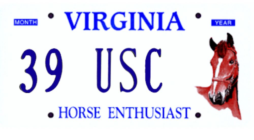 A license plate that endorses horsin’ around with the mail.