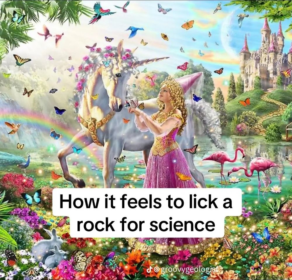 The image depicts a vibrant, fantastical scene with a woman dressed in an ornate pink gown standing next to a unicorn adorned with flowers. The setting includes a magical landscape filled with rainbows, colorful butterflies, flamingos, and a sparkling castle in the background. The text overlay reads: “How it feels to lick a rock for science.”