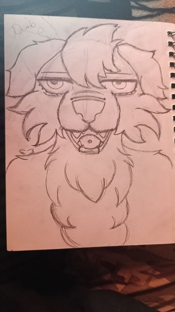 The drawing of a golden retriever furry in traditional drawing and only lineart, no color 