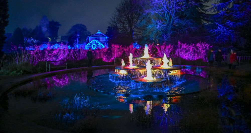 Night-time view of an illuminated garden with colourful lights reflecting in a pond, featuring a lit-up fountain in the centre and a glasshouse in the background.