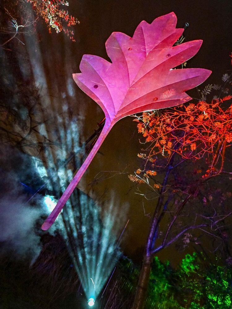 A large, illuminated sculpture of a pink leaf against a night sky with light beams and colourful trees in the background.