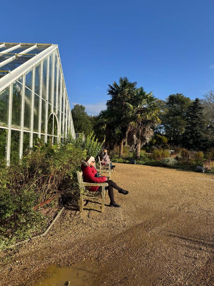 Person sitting on a bench next to a glasshouse, enjoying a sunny day in a botanical garden.