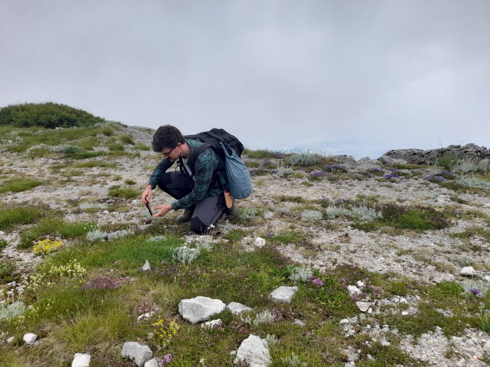 Matthew looking at different alpines on the top of the mountain