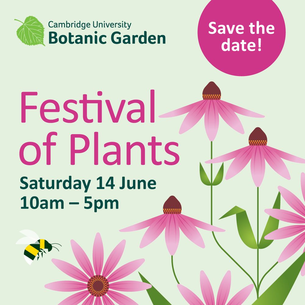 The poster for Festival of Plants at Cambridge University Botanic Garden on Saturday 14 June 10am to 5pm