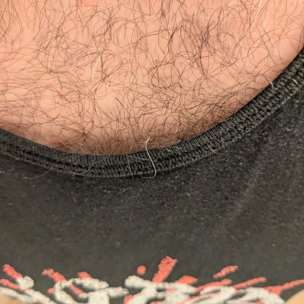 photo of my chest, a few chest hairs (including one grey hair) peeking over the collar of a tank top