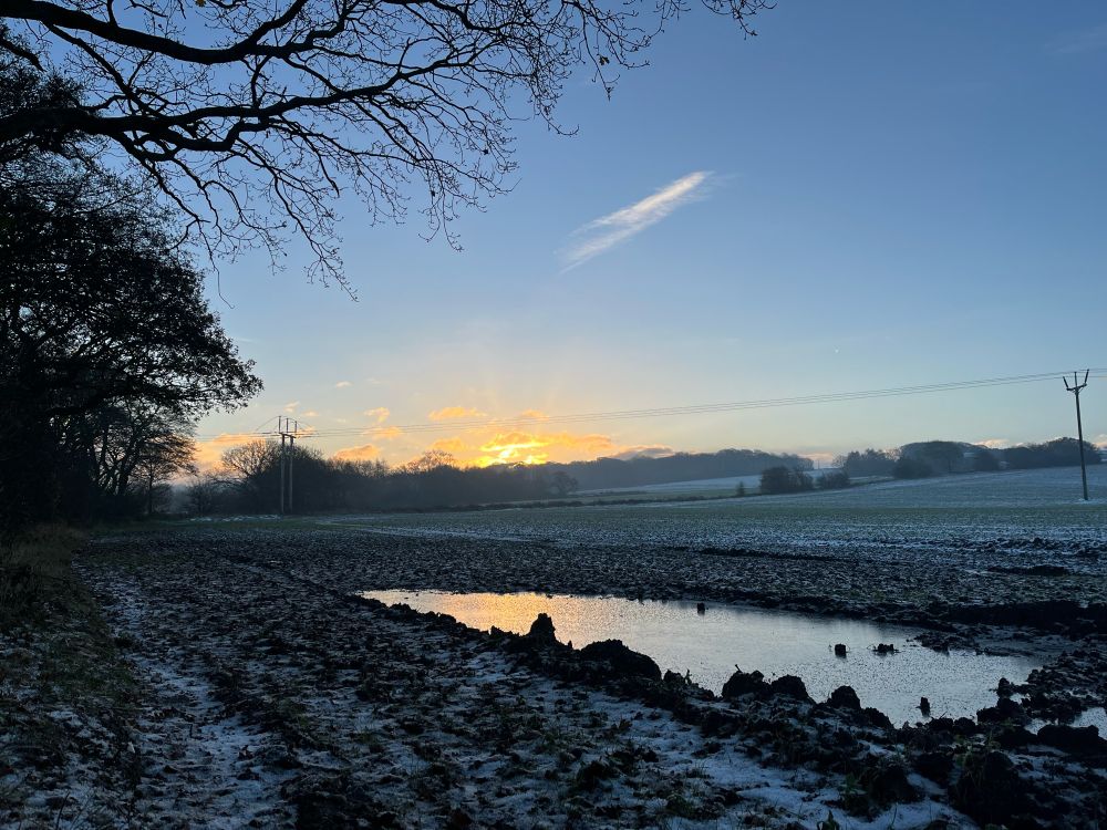 The sun rises over a snowy field. A large puddle is frozen over 