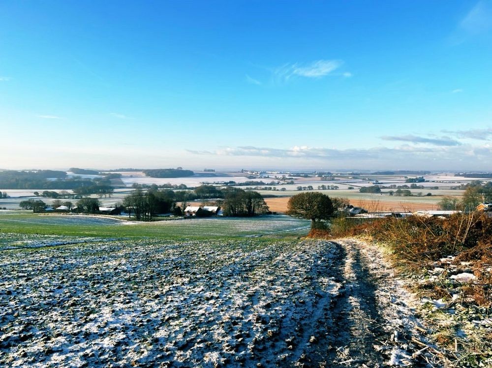 A snowy landscape 