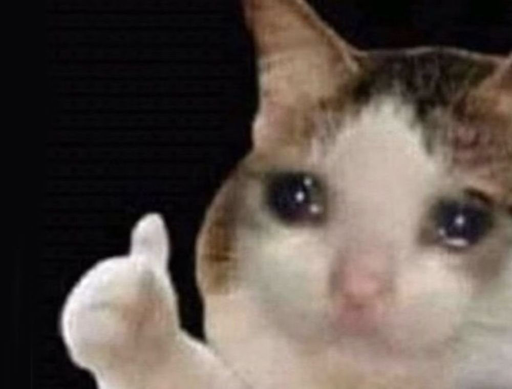 Cat with watery sad eyes and thumbs up 