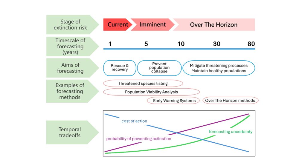 Conceptual framework for extinction risk forecasting that outlines key elements and tradeoffs associated with forecasting on different time horizons.