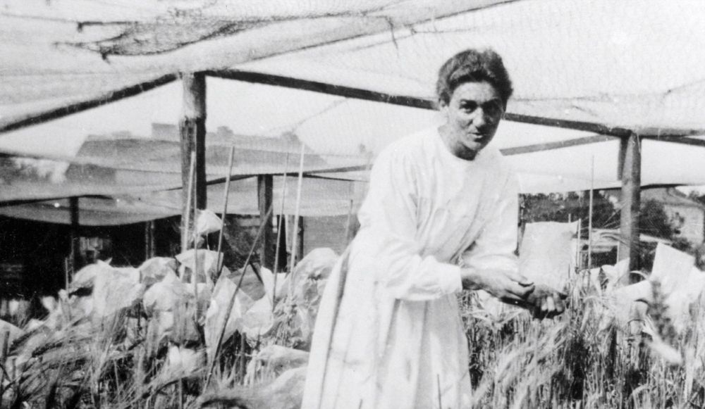 Die Tour über den Campus Dahlem erinnert an herausragende Wissenschaftlerinnen, wie Elisabeth Schiemann. © Max-Planck-Archiv